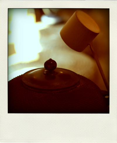 IMG_1600-pola.jpg